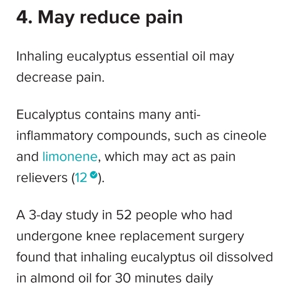 Homemade Eucalyptus Greek Yogurt Organic Soap - Picture 10 of 16